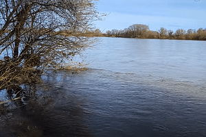 Une réalisation de Jacky Belouet