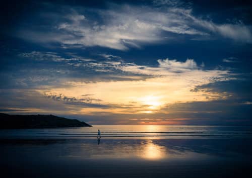 Robert - Theyssens - La promeneuse